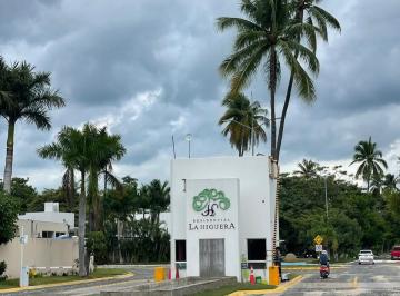 Terreno / Lote , Manzanillo · Terreno en La Higuera, Manzanillo