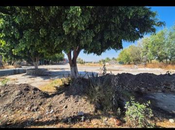 Terreno / Lote · 5000m² · Excelente Terreno en Renta