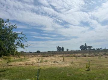 Terreno / Lote · 80000m² · 3 Recámaras · 10 Estacionamientos · Terreno - Ejido Nuevo México