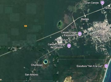 Terreno / Lote · 50000m² · 5 Ha en Tulum, Colonia Crystal. Se Renta por Hectarea - Precio Negociable