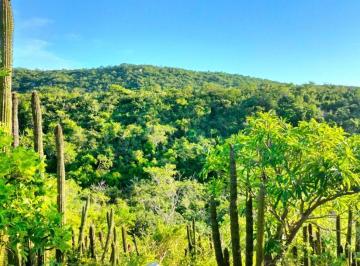Terreno / Lote · 1200000m² · Ha en Venta en Elias Calles