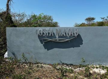 Terreno / Lote , Yobaín · Terreno Residencial en Venta en Costa Mayab, Chabihau, Yucatán