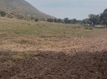Terreno / Lote , Jocotepec · Terreno con 26000 m² en Renta, Libramiento Jocotepec