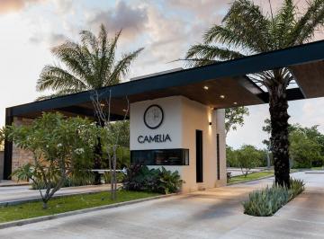 Terreno / Lote , Mérida · Terreno en Venta en Privada de Merida
