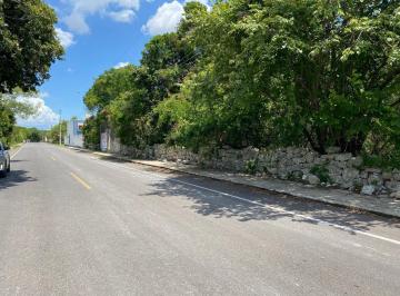 Terreno / Lote · 1742m² · Terreno en Venta en Dzitya