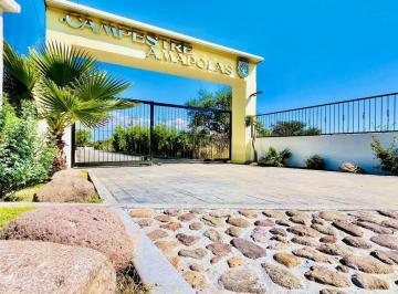 Terreno / Lote · 1000m² · Terreno Campestre en Venta Frente a Edén Los Sabinos Aguascalientes - Luz y Agua
