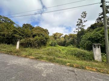 Terreno / Lote , Coatepec · Precioso Terreno en Coatepec