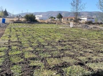 Terreno / Lote , Arteaga · Lotes Campestres en Venta en “valle del Diamante”