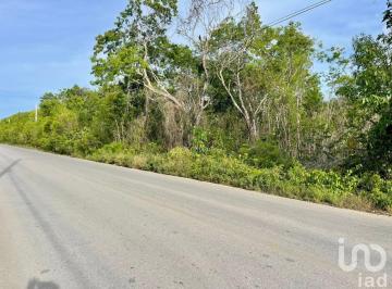 Terreno / Lote · 1000m² · Terreno en Venta en Av Rogelio Castorena, Cancun