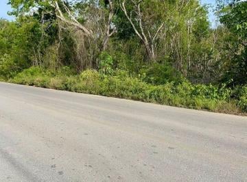 Terreno / Lote · 1000m² · Terreno en Venta en Av Rogelio Castorena, Cancun