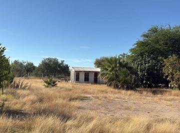 Terreno / Lote , Hermosillo · Venta de Terreno en Fraccionamiento Campestre Real del Alamito Seccion Arbolitos 3000 m² con