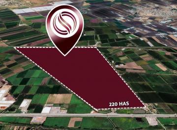 Terreno / Lote , Pedro Escobedo · 220 Hectáreas en Venta en Pedro Escobedo, Querétaro.