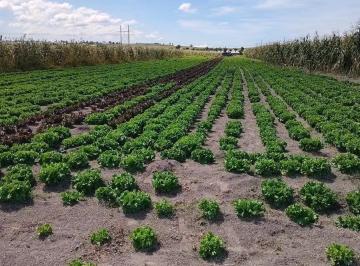 1 · Terreno en Venta Santa Isabel Cholula Puebla Chipilo 3500 m Habiacional
