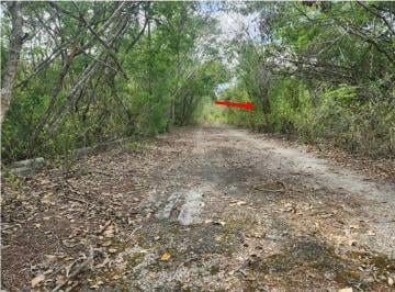 Terreno / Lote , Mérida · Terreno Ceiba II a 5 Minutos de Anahuac, Rodeado de Naturaleza a 15 Minutos de La Playa y Merida