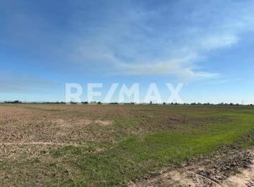 Terreno comercial · 200000m² · En Venta Predio Agricola de 20 Hectàreas en La Colonia Cuervos en Mexicali, B. C. - (4)