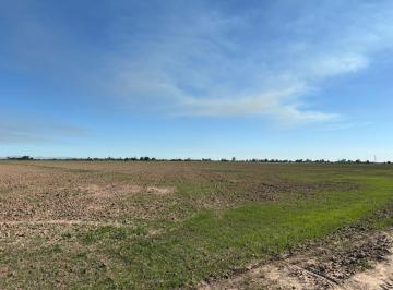 Terreno comercial · 200000m² · En Venta Predio Agricola de 20 Hectàreas en La Colonia Cuervos en Mexicali, B. C. - (4)
