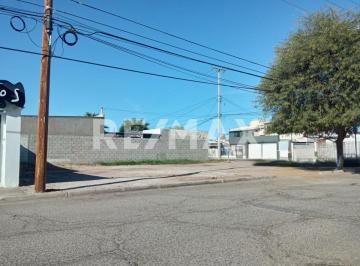 Terreno / Lote · 282m² · Terreno Habitacional en Renta en Colonia Repùblica Mexicana en Mexicali Bc - (4)