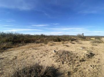 Terreno / Lote , General Cepeda · Terreno en Venta en General Cepeda