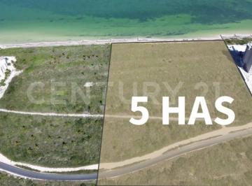 Terreno / Lote · 50000m² · Terreno en Venta en Marina Kinuh, Telchac Puerto, Yucatán.