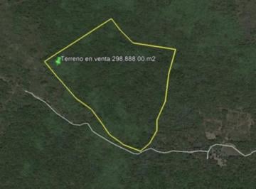 Terreno / Lote , Conkal · Terreno en Venta Mérida, Al Norte de La Ciudad Ideal Para Desarrollar
