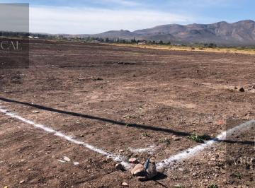 Terreno / Lote · 10000m² · Terreno