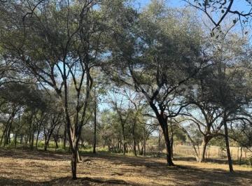 Terreno / Lote · 1547m² · Terreno en Venta en Desarrollo Campestre