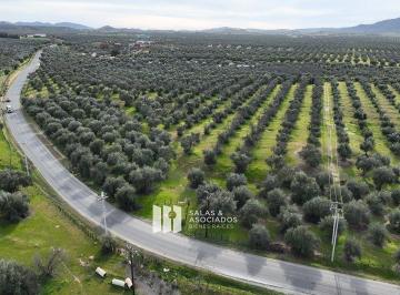 69c01d3d70c7e641514b9e6396749087528708d6eda0d6cb4501877016fc72b8 · Terrenos Dentro del Bosque de Olivos Vecino de Sassi del Valle
