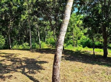 Terreno / Lote · 727m² · Terreno en Venta, Puerto Escondido