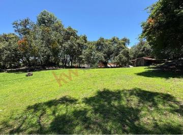 N/A · Terreno Arbolado en Venta en Malinalco | 3,902 m² de Naturaleza y Plusvalía