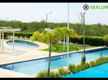 a61318c32039f95b2dc23c193563d3246b7cbc11b33ee99c042c4fd10ea6ccb5 · Terreno Yaxlum Resiencia, Yaxkukul Yucatan