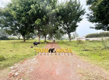 Terreno / Lote , Córdoba · Vendo 1 Hectárea en Córdoba a Pie de Carretera Principal, San Isidro Palotal.