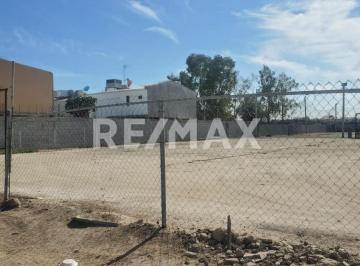 Terreno comercial · 976m² · Local en Renta - (4)