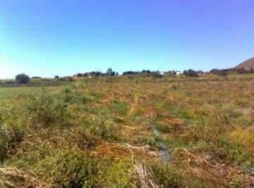 Terreno / Lote · 10000m² · Terreno de 10,000 m en Venta en Huertas de Cuautla, Morelos