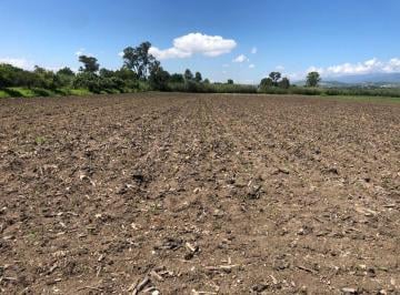 Terreno / Lote , San Pablo Etla · Terreno en San Sebastian Etla de 21,550 m² en Venta