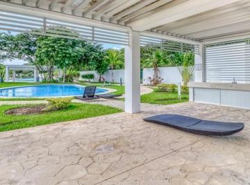 un area de camastros en lunamar residencial playa del carmen · Casa Amueblada en Renta de 3 Recámaras en Residencial Lunamar, Playa del Carmen