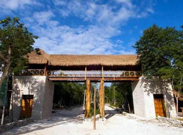 Terreno / Lote · 10000m² · Terreno 1 Hectarea en Chemuyil