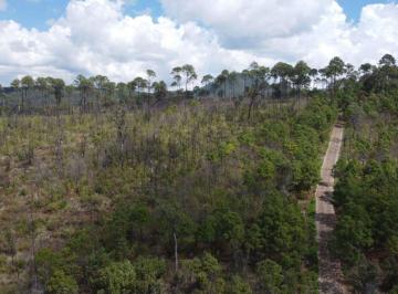 Terreno / Lote , Tapalpa · Lote en Tapalpa Bosques de La Cañada Coto Maple en Venta: 10,449 m²