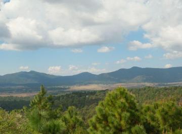 Terreno / Lote , Tapalpa · Lote en Tapalpa Bosques de La Cañada Coto Castaños en Venta: 5.658 m²