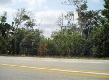 Terreno comercial · 20000m² · Terreno Comercial en Renta en Cancún. 20000 m². Autopista Mérida - Chichen Itza. 900 m de Av Huayacán
