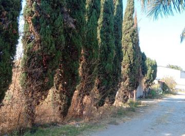 Terreno / Lote · 824m² · Terreno en Venta en San Antonio Cacalotepec en Buenavista