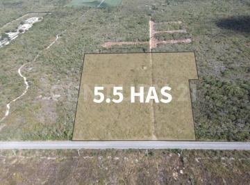 Terreno / Lote · 55729m² · Terreno en Venta en Telchac Pueblo, Yucatán