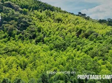 Rancho · 270000m² · Rancho con Hectáreas de Bambú