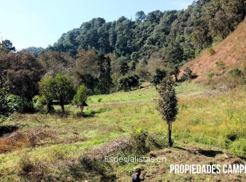 Quinta · 35982m² · Quinta en Huauchinango a 2 Mins de Autopista Méx - Tuxpan
