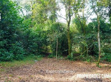 Terreno / Lote · 38000m² · Terreno Para Inversión Sobre Carr. México - Tuxpan en Xicotepec de Juárez