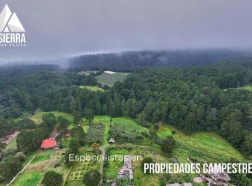 Terreno / Lote · 60000m² · Parcela Ejidal de 6 Ha con Bosque y Agua