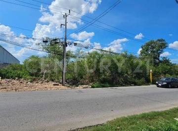 Terreno / Lote · 12000m² · Terreno en Renta, Merida, Yucatan