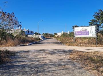 Terreno / Lote , Mérida · Terreno Residencial en Venta en Dzitya