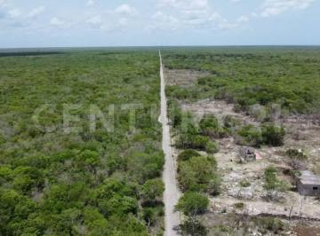 Terreno / Lote · 65000m² · Terreno en Venta en Dzilam de Bravo, Yucatán