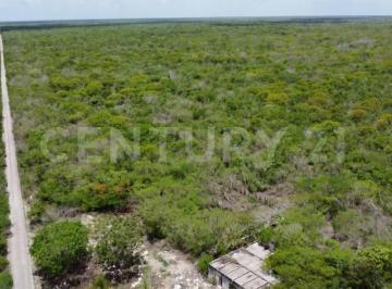 Terreno / Lote · 65000m² · Terreno en Venta en Dzilam de Bravo, Yucatán