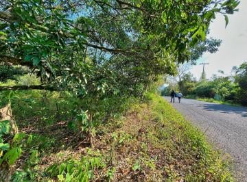 Terreno / Lote · 50000m² · Terreno en Venta en Apazapan Veracruz 5 Ha